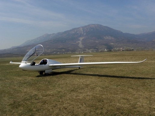 Taurus Electro